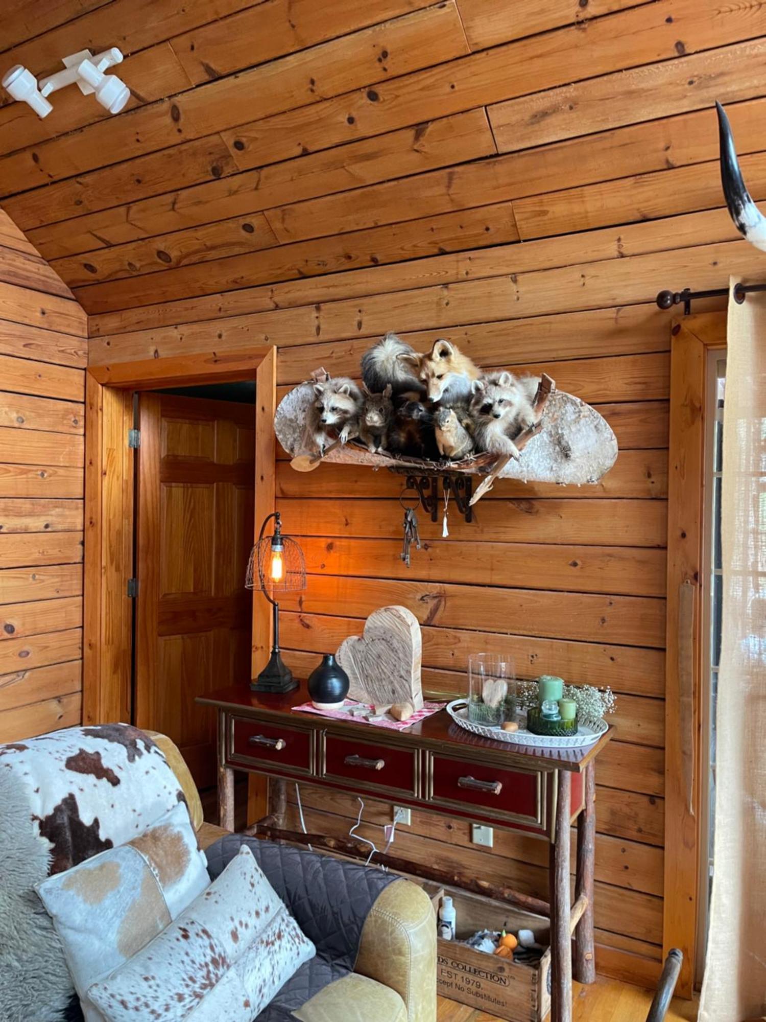 Homestead Retreat Newport Extérieur photo